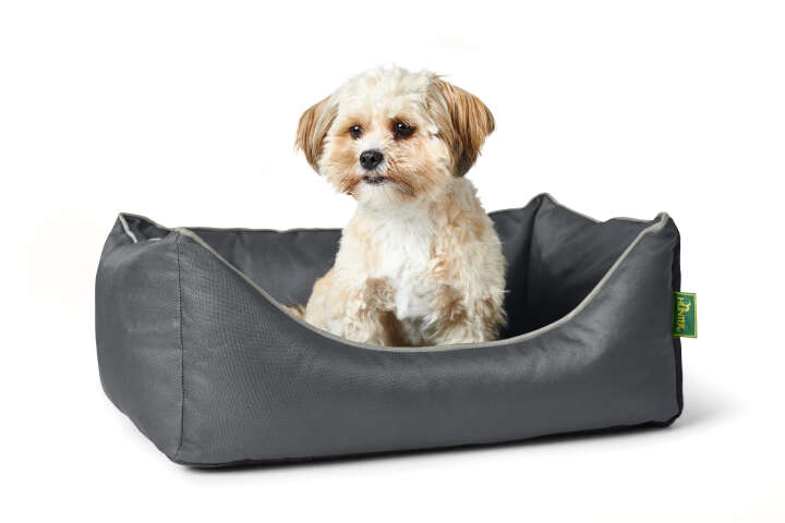 HUNTER Orthopädisches Hunde-Sofa Cleveland